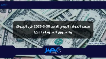 سعر الدولار اليوم الأحد 30-3-2025 في البنوك والسوق السوداء الآن!
